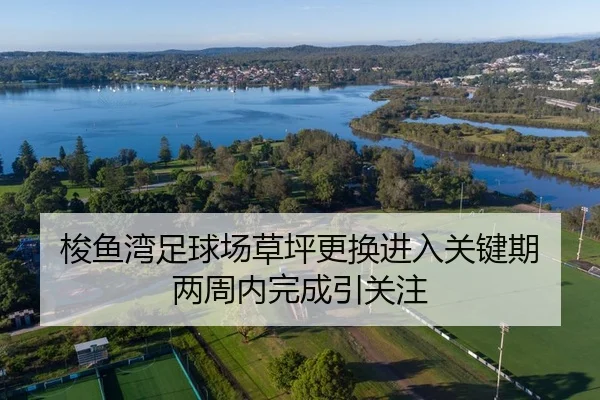 梭鱼湾足球场草坪更换进入关键期 两周内完成引关注